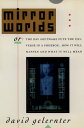 Mirror Worlds or the Day Software Puts the Universe in a Shoebox...How It Will H...