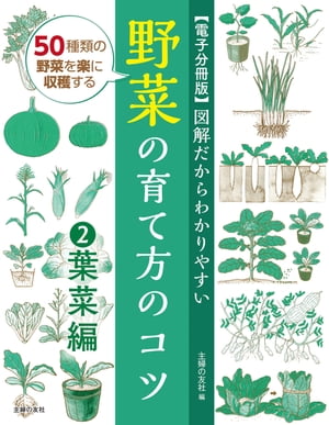 【電子分冊版】図解だからわかりやすい　野菜の育て方のコツ２葉菜編