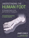 Understanding the Human Foot An Illustrated Guide to Form and Function for Practitioners