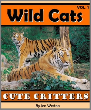 Wild Cats - Volume 1