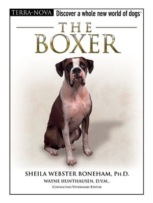 The Boxer