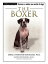 The Boxer