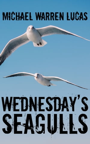 Wednesday's Seagulls