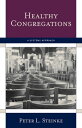 Healthy Congregations A Systems App...(3)