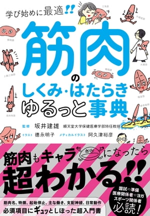 筋肉のしくみ・はたらきゆるっと事典