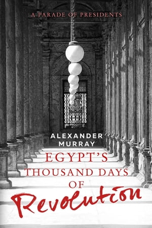 Egypt's Thousand Days of Revolution