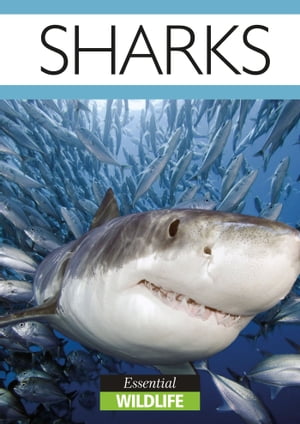 Sharks Essential Wildlife【電子書籍】[ Jessica Toyne ]