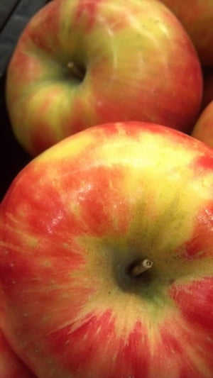 ŷKoboŻҽҥȥ㤨Depression-Get Over itŻҽҡ[ Brenda Kay Winters ]פβǤʤ117ߤˤʤޤ