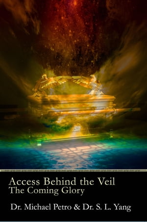 Access Behind the Veil