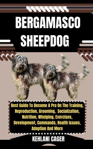 BERGAMASCO SHEEPDOG Best Guide To Become A Pro O