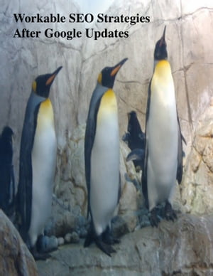 Workable SEO Strategies After Google Updates