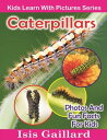 Caterpillars Photos and Fun Facts for Kids Kids 