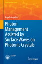 Photon Management Assisted by Surface Waves on Photonic Crystals【電子書籍】 Angelo Angelini