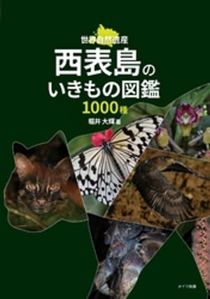 西表島のいきもの図鑑1000種