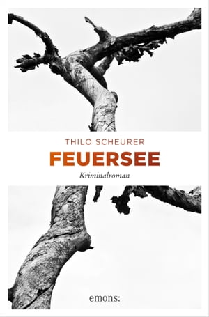 Feuersee KriminalromanŻҽҡ[ Thilo Scheurer ]