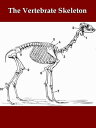 ＜p＞This edition features＜br /＞ ? illustrations＜br /＞ ? a linked Table of Contents, Footnotes, and Index＜/p＞ ＜p＞CONTENTS (abridged list)＜br /＞ CHAPTER I.＜br /＞ Introductory account of the skeleton in general＜br /＞ CHAPTER II.＜br /＞ Classification＜br /＞ CHAPTER III.＜br /＞ Skeleton of Hemichordata, Urochordata and Cephalochordata＜br /＞ CHAPTER IV.＜br /＞ Skeletal characters of the Vertebrata. The skeleton in the Cyclostomata＜br /＞ CHAPTER V.＜br /＞ Skeletal characters of the Ichthyopsida. Characters of the several groups of Pisces＜br /＞ ...＜br /＞ CHAPTER XX.＜br /＞ Characters of the several groups of Mammalia＜br /＞ CHAPTER XXI.＜br /＞ The skeleton of the Dog (Canis familiaris)＜br /＞ CHAPTER XXII.＜br /＞ General account of the skeleton in Mammalia. The exoskeleton and vertebral column＜br /＞ CHAPTER XXIII.＜br /＞ General account of the skeleton in Mammalia (continued). The skull and appendicular skeleton＜br /＞ LIST OF AUTHORS REFERRED TO.＜br /＞ INDEX.＜/p＞ ＜p＞About the Author＜br /＞ SIDNEY H. REYNOLDS, M.A.,＜br /＞ TRINITY COLLEGE, CAMBRIDGE;＜br /＞ LECTURER AND DEMONSTRATOR IN GEOLOGY AND ZOOLOGY AT UNIVERSITY COLLEGE, BRISTOL.＜/p＞画面が切り替わりますので、しばらくお待ち下さい。 ※ご購入は、楽天kobo商品ページからお願いします。※切り替わらない場合は、こちら をクリックして下さい。 ※このページからは注文できません。