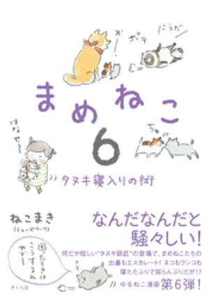 まめねこ６