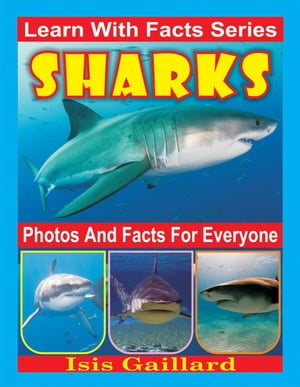 Sharks Photos and Facts for Everyone