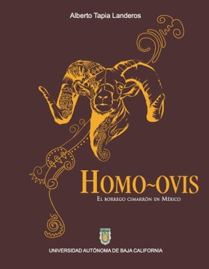 Homo-Ovis