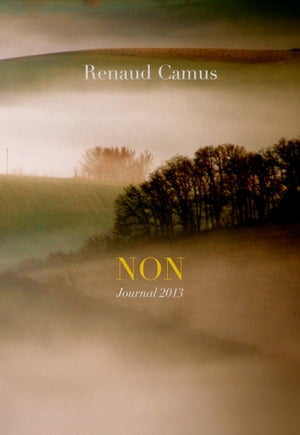 NON. Journal 2013