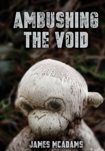 Ambushing the VoidŻҽҡ[ James McAdams ]