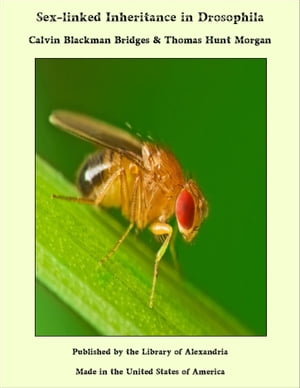 Sex-linked Inheritance in Drosophila