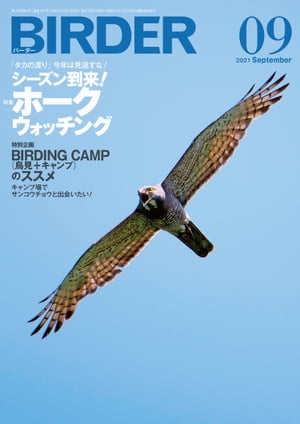 BIRDER2021年9月号