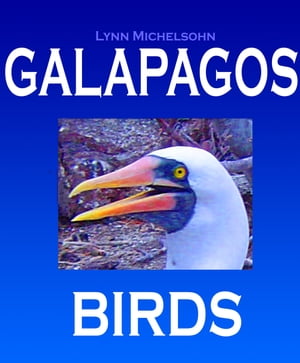 Galapagos Birds: Wildlife Photographs from Ecuad