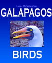 Galapagos Birds: Wildlife Photographs from Ecuador ...