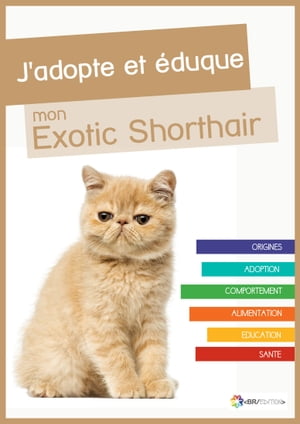 J'adopte et éduque mon Exotic Shorthair