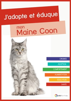 J'adopte et éduque mon Maine Coon