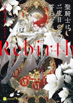 Rebirth〜聖騎士は二度目の愛を誓わない〜