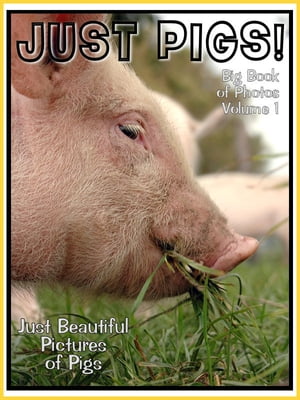 Just Pig Photos! Big Book of Pigs Photographs & Pictures Vol. 1