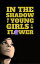 In the Shadow of Young Girls in Flower