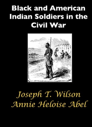 Black and American Indian Soldiers in the Civil 