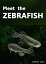 Meet the Zebrafish. A Short Guide to Keeping, Breeding and Understanding the Zebrafish (Danio rerio) in Your Home Aquarium