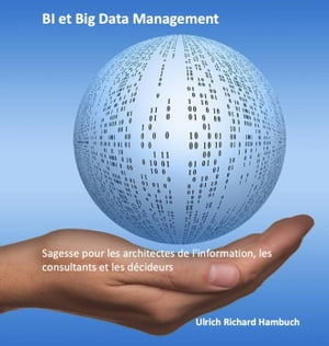 BI et Big Data Management