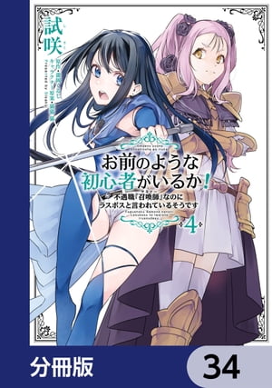 お前のような初心者がいるか！ 不遇職『召喚師』なのにラスボスと言われているそうです【分冊版】　34