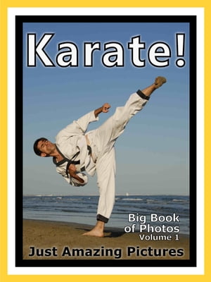 Just Karate Sport Photos! Big Book of Photographs & Pictures of Sports Karate Martial Arts, Vol. 1