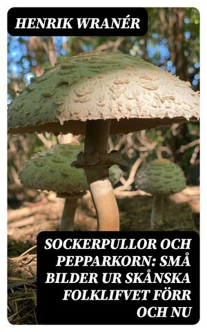 Sockerpullor och Pepparkorn: Små bilder ur skånska folklifvet förr och nu