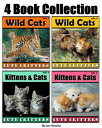 Kittens, Cats, Lions, Tigers and More! 4 Book Collection of Photos of Adorable W...