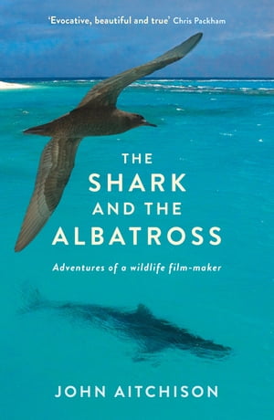 The Shark and the Albatross