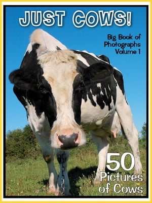 50 Pictures: Just Cows! Big Book of Bovine Photographs, Vol. 1