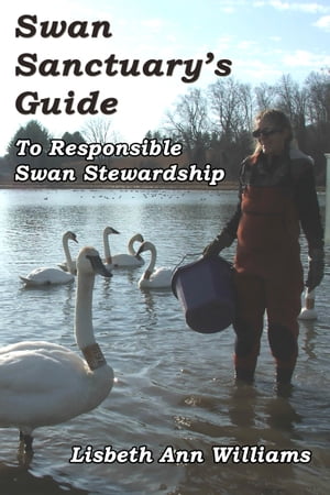 Swan Sanctuary's Guide to Responsible Swan Stewa