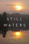 Still Waters: The Secret World of Lakes