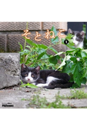 そとねこ　VOL.01