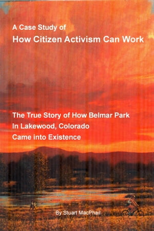 A Case Study of How Citizen Activism Can Work【