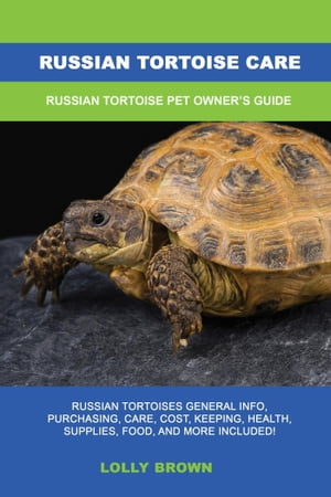 Russian Tortoise Care