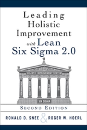 Leading Holistic Improvement with Lean Six Sigma 2.0