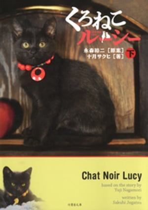 くろねこルーシー　下【電子書籍】[ 十月サクヒ ]